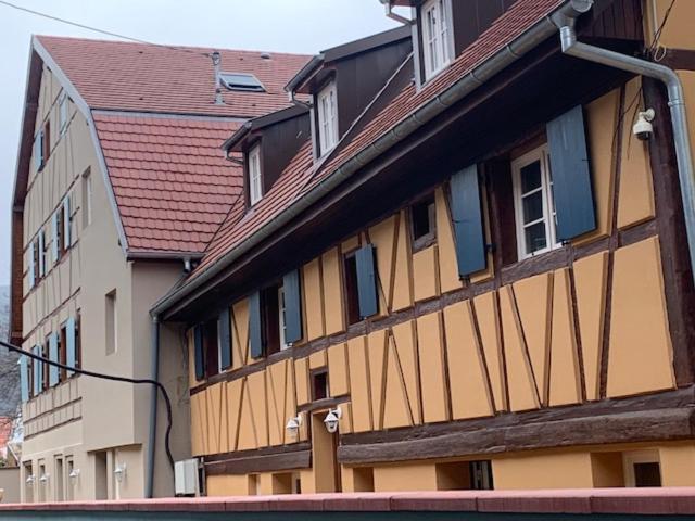 빈첸하임 Coeur D'Alsace Colmar Vignobles Ouest Avec Terrasses 빌라 외부 사진