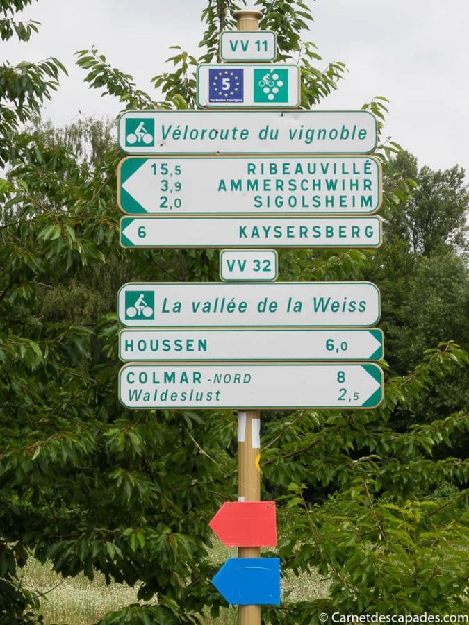 빈첸하임 Coeur D'Alsace Colmar Vignobles Ouest Avec Terrasses 빌라 외부 사진