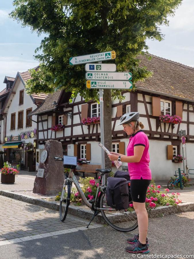 빈첸하임 Coeur D'Alsace Colmar Vignobles Ouest Avec Terrasses 빌라 외부 사진