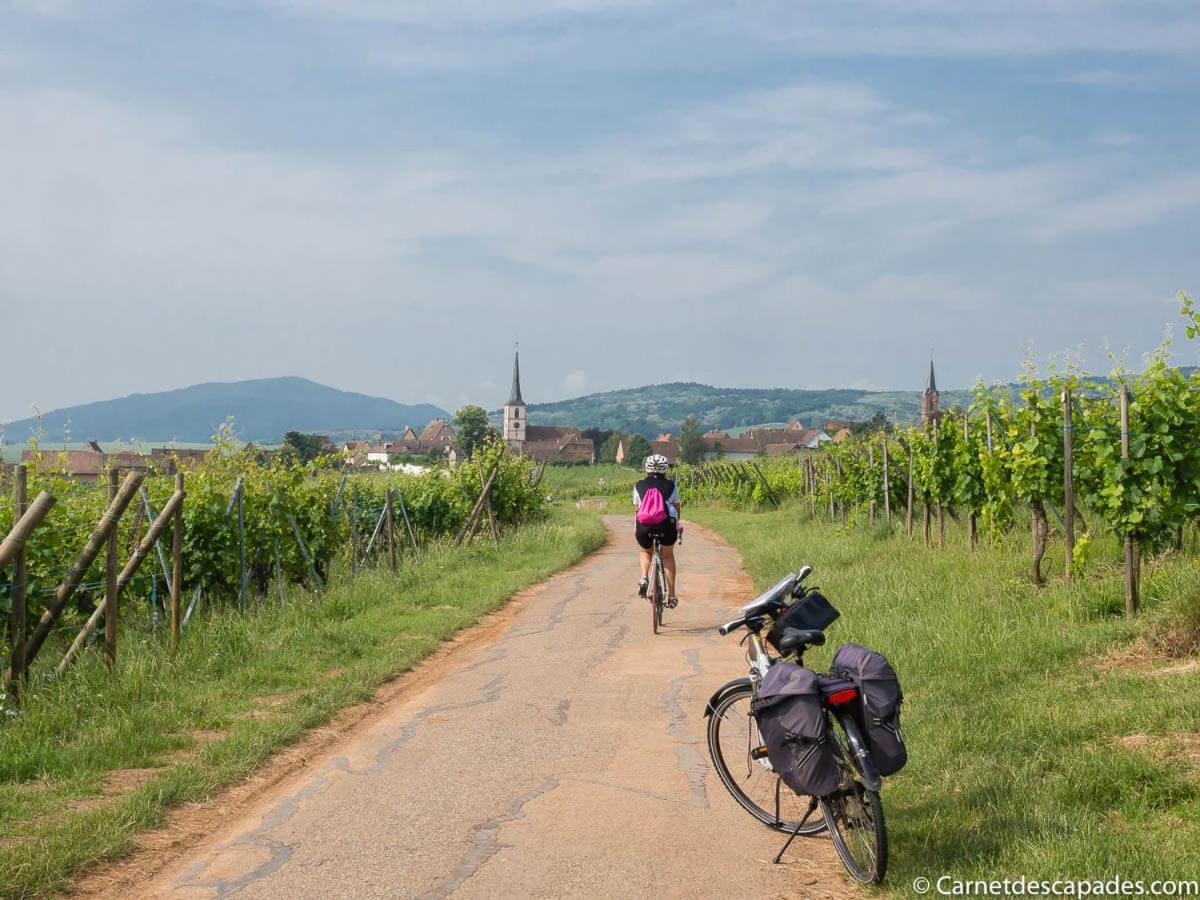 빈첸하임 Coeur D'Alsace Colmar Vignobles Ouest Avec Terrasses 빌라 외부 사진