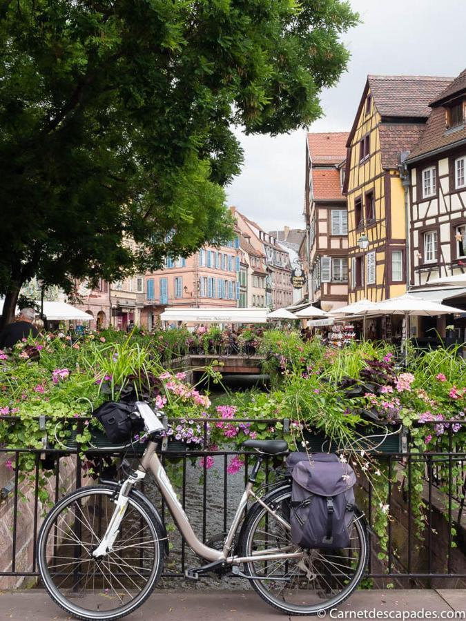 빈첸하임 Coeur D'Alsace Colmar Vignobles Ouest Avec Terrasses 빌라 외부 사진