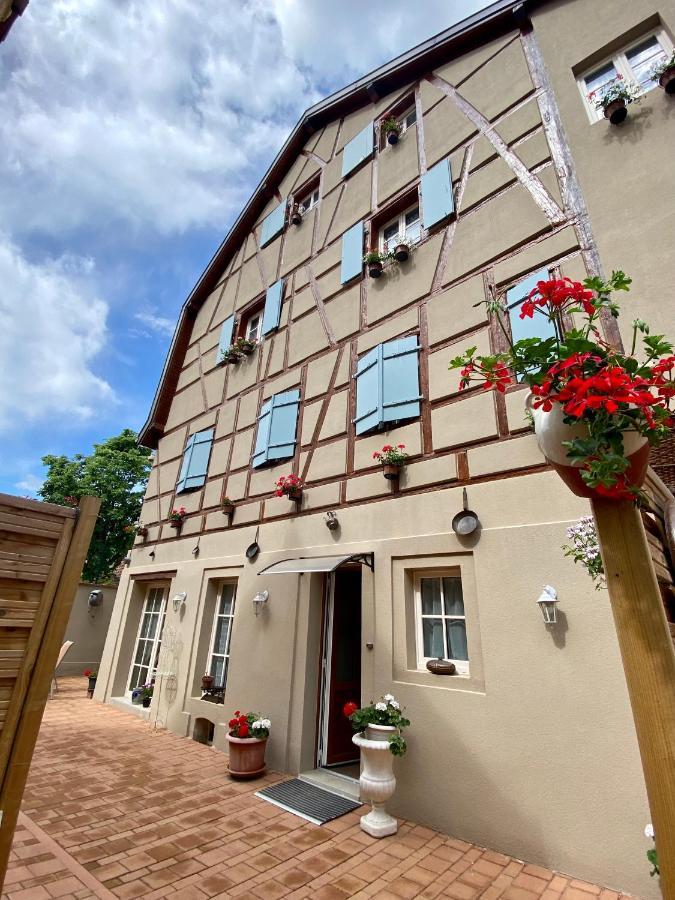빈첸하임 Coeur D'Alsace Colmar Vignobles Ouest Avec Terrasses 빌라 외부 사진