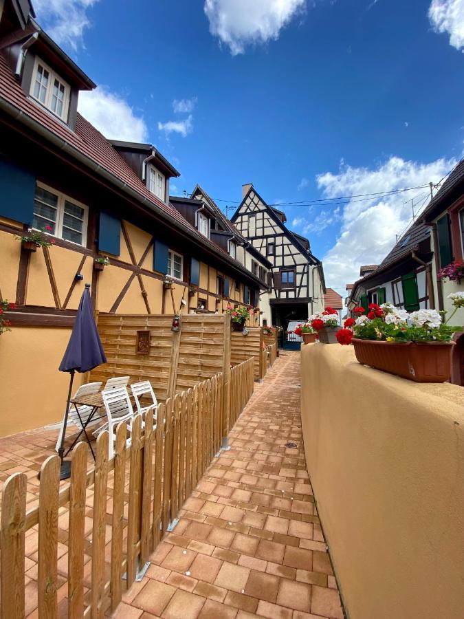 빈첸하임 Coeur D'Alsace Colmar Vignobles Ouest Avec Terrasses 빌라 외부 사진
