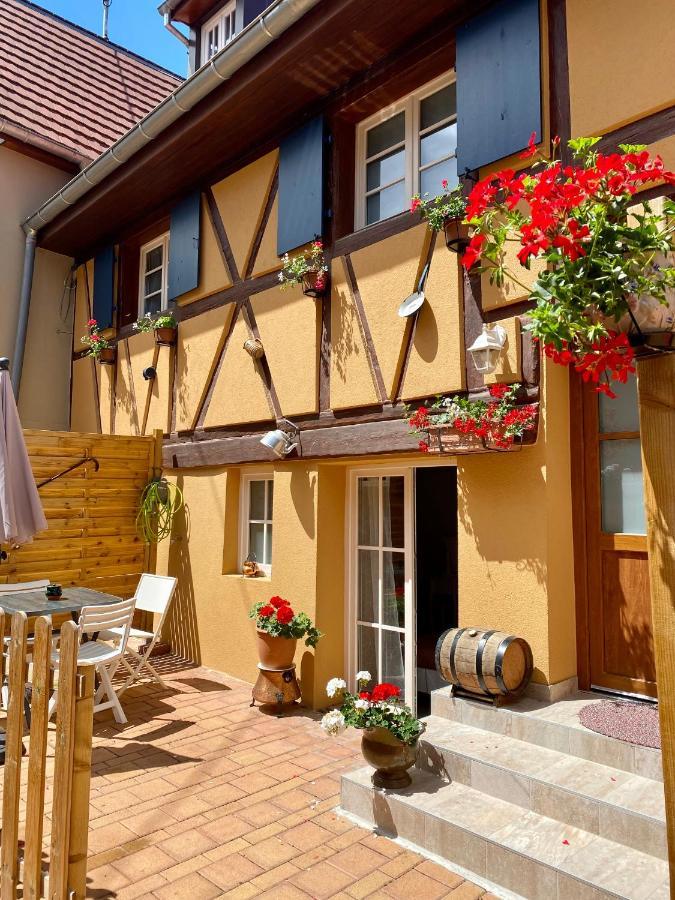 빈첸하임 Coeur D'Alsace Colmar Vignobles Ouest Avec Terrasses 빌라 외부 사진