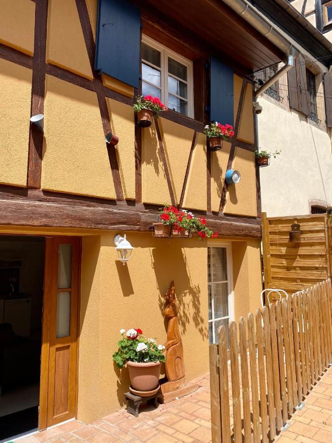 빈첸하임 Coeur D'Alsace Colmar Vignobles Ouest Avec Terrasses 빌라 외부 사진