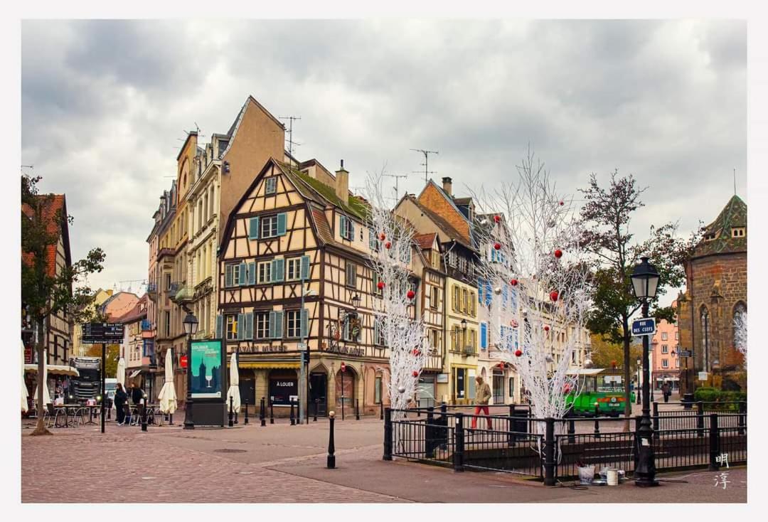 빈첸하임 Coeur D'Alsace Colmar Vignobles Ouest Avec Terrasses 빌라 외부 사진